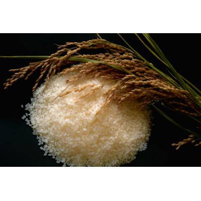 ふるさと納税 花巻市 【令和7年産米】花巻ひとめぼれ(精米)10kg