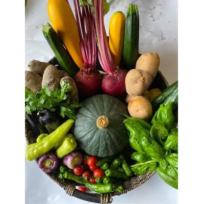 ふるさと納税 大磯町 季節のこだわり野菜 詰め合わせ 5kg