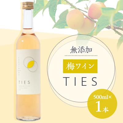 ふるさと納税 若狭町 福井県若狭町 Japanese apricot wine(梅ワイン) 500ml