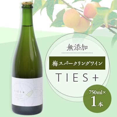 ふるさと納税 若狭町 福井県若狭町 Japanese apricot sparkling wine 750ml