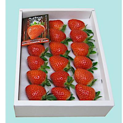 ふるさと納税 三豊市 さぬきひめ苺 大粒化粧箱×2箱