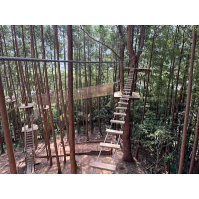 ふるさと納税 添田町 フォレストアドベンチャー・添田3名様招待券_2