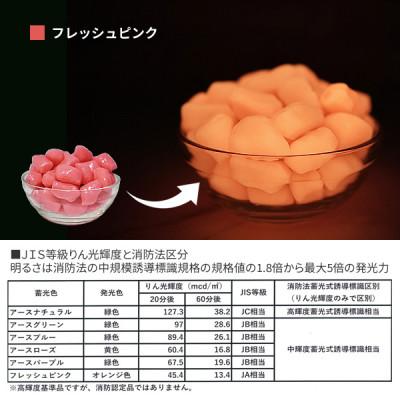 ふるさと納税 豊川市 蓄光防犯砂利 リプラスストーン 1kg 【フレッシュ