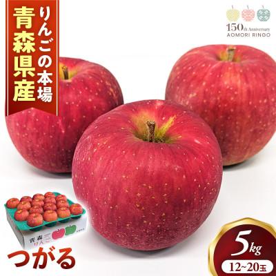 ふるさと納税 三戸町 りんご[つがる]約5kg(12〜20玉)[2026年産・先行予約]9月上旬〜9月下旬頃まで発送予定