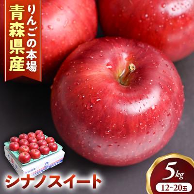ふるさと納税 三戸町 りんご[シナノスイート]約5kg(12〜20玉)[2026年産・先行予約]10月中旬〜11月下旬頃発