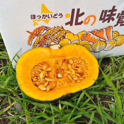 ふるさと納税 富良野市 2026年　富良野産　くりゆたか　かぼちゃ　10kg | 