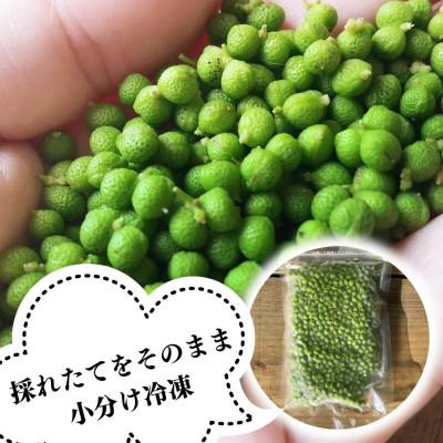 ふるさと納税 有田川町 冷凍山椒 凍ってんじゃ ぶどう山椒 500g ( 100g