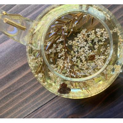 ふるさと納税 奄美市 奄美大島の植物を使って軟膏作り体験