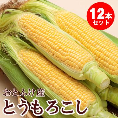 ふるさと納税 音更町 [先行受付]北海道おとふけ産 とうもろこし12本[B18]