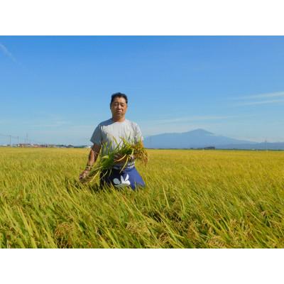 ふるさと納税 酒田市 【令和8年産 新米予約】[玄米]特別栽培米つや姫　10kg(5kg×2袋)「農家直送」 KA |  | 01