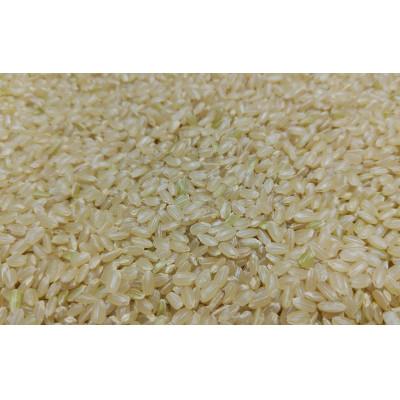 ふるさと納税 酒田市 【令和8年産 新米予約】[玄米]特別栽培米つや姫　10kg(5kg×2袋)「農家直送」 KA |  | 03