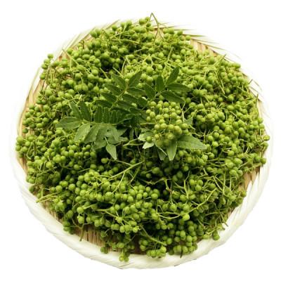 ふるさと納税 養父市 朝倉山椒の実山椒　300g×1 | 