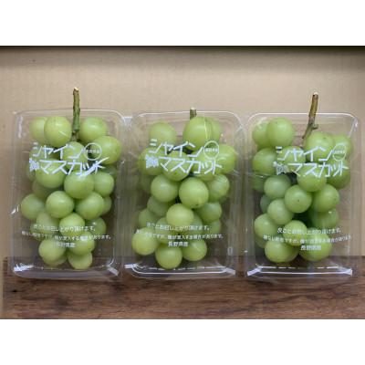 ふるさと納税 長野市 [2026年先行受付][数量限定]シャインマスカットご家庭用3パックセット
