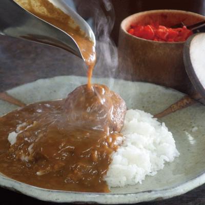 ふるさと納税 宮崎市 宮崎産若鶏のチキンカレー5食セット