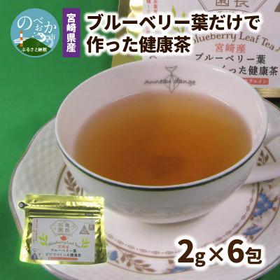 ふるさと納税 延岡市 宮崎県産ブルーベリー葉だけで作った健康茶 2g×6包