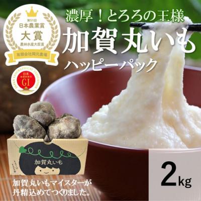 ふるさと納税 能美市 [日本農業賞大賞]加賀丸いもハッピーパック2kg(3〜6個)