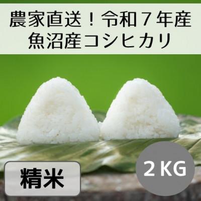 ふるさと納税 十日町市 [令和7年産]新潟県魚沼産コシヒカリ「山清水米」精米2kg