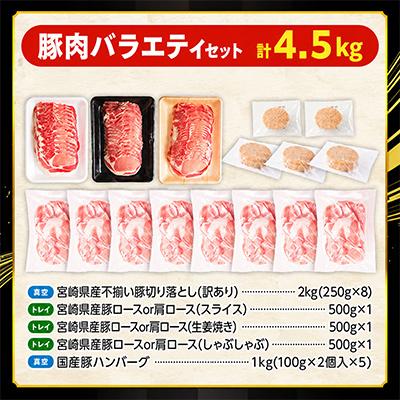 ふるさと納税 宮崎市 国産豚肉バラエティセット5種4.5kg(宮崎市) |  | 02