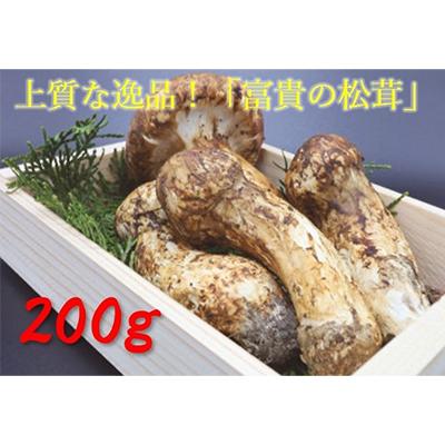 ふるさと納税 高野町 松茸　200g　【和歌山県産】香り高く希少な国産! | 