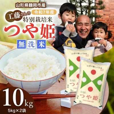 ふるさと納税 鶴岡市 【令和7年産】山形県庄内産 特別栽培米 つや姫 無