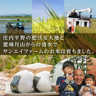 ふるさと納税 鶴岡市 【令和7年産】山形県庄内産 特別栽培米 つや姫 無
