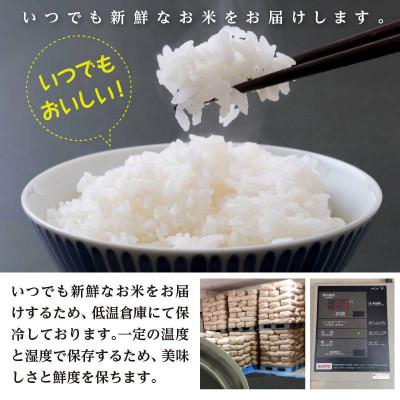 ふるさと納税 鶴岡市 【令和7年産】山形県庄内産 特別栽培米 つや姫 無