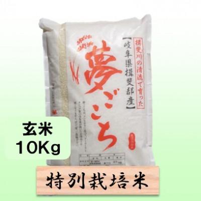 ふるさと納税 池田町 [令和7年産]特別栽培米 10kg[玄米](夢ごこち)