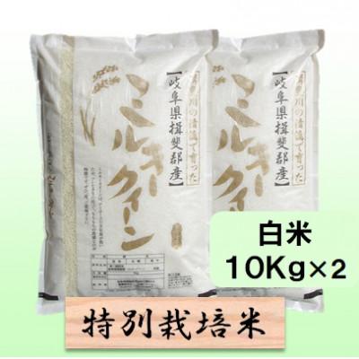 ふるさと納税 池田町 【令和8年産】特別栽培米 20kg【白米】(ミルキークイーン) | 