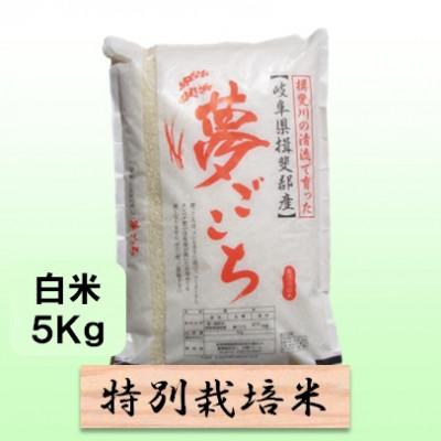 ふるさと納税 池田町 [令和7年産]特別栽培米 5kg[白米](夢ごこち)