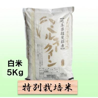 ふるさと納税 池田町 [令和7年産]特別栽培米 5kg[白米](ミルキークイーン)