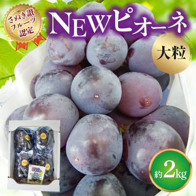 ふるさと納税 三豊市 [2026年発送・さぬき讃フルーツ認定]NEWピオーネぶどう 大粒約2kg