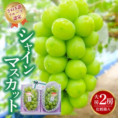 ふるさと納税 三豊市 [2026年発送・さぬき讃フルーツ認定]シャインマスカット 大房2房(化粧箱入り)