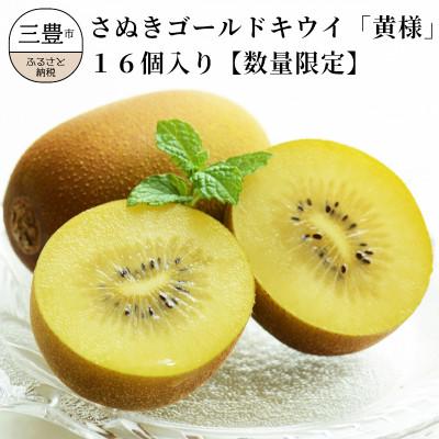 ふるさと納税 三豊市 [2025年10月から順次発送]さぬきゴールドキウイ「黄様」16個入り