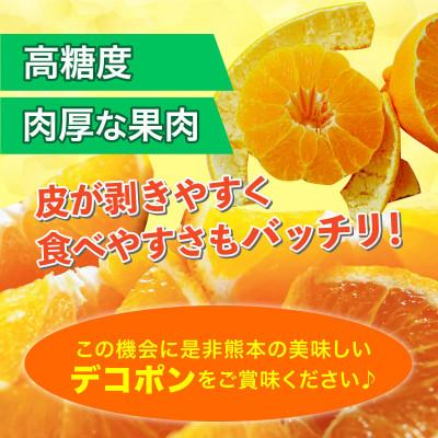 ふるさと納税 水俣市 【2026年12月より順次発送】熊本県産 デコポン 約