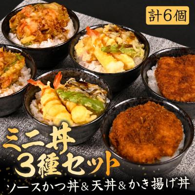 ふるさと納税 坂井市 レンジで簡単調理!チキンソースカツ丼・天丼・かき揚げ丼各2個(6個セット) [A-8405]