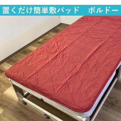ふるさと納税 泉大津市 置くだけ簡単 やわらかくて気持ちいい 優しい温もり 敷パッド 100×200cm ボルドー