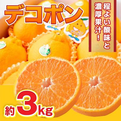 ふるさと納税 荒尾市 [2026年2月下旬より順次発送]熊本県産 デコポン 約3kg(荒尾市)