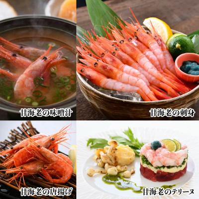 ふるさと納税 坂井市 まずはおひとつ♪「共栄丸」直送船内瞬間冷凍 甘えび 約550g [A-23107] |  | 01