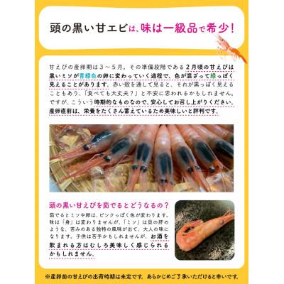 ふるさと納税 坂井市 まずはおひとつ♪「共栄丸」直送船内瞬間冷凍 甘えび 約550g [A-23107] |  | 02