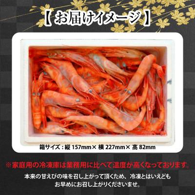 ふるさと納税 坂井市 【発泡箱入り】まずはおひとつ♪「共栄丸」直送船内瞬間冷凍 甘えび 約550g [A-23108] |  | 02