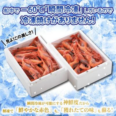 ふるさと納税 坂井市 【発泡箱入り】海の上で食べる味!「共栄丸」直送☆船内瞬間冷凍甘えび約1.1kg[A-23110] |  | 01