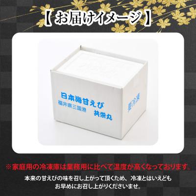 ふるさと納税 坂井市 【発泡箱入り】海の上で食べる味!「共栄丸」直送☆船内瞬間冷凍甘えび約1.1kg[A-23110] |  | 03