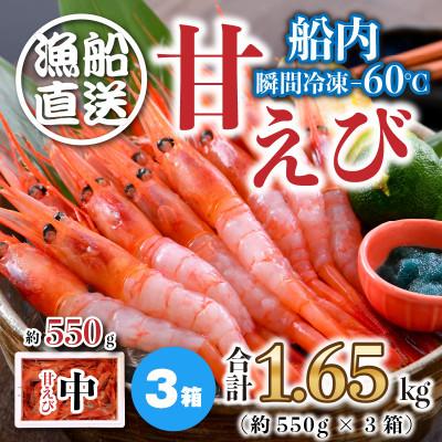 ふるさと納税 坂井市 海の上で食べる味!漁船直送☆船内瞬間冷凍 甘えび 約1.65kg [B-2320]