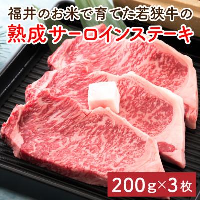 ふるさと納税 坂井市 福井のお米で育てた野村さんの若狭牛「熟成サーロインステーキ」200g×3枚[E-2003]