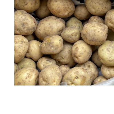 ふるさと納税 五條市 生命の農法(栽培期間中化学農薬・化学肥料不使用栽培) じゃがいも(5kg)