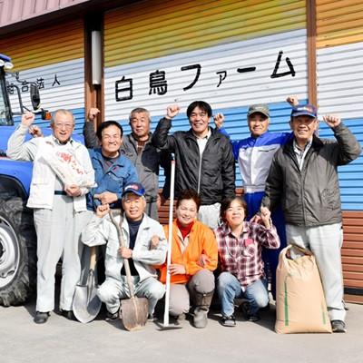 七分つき　20キロ　袋2つ ふるさと納税 池田町 【令和7年産】特別栽培米 20kg【7分ツキ