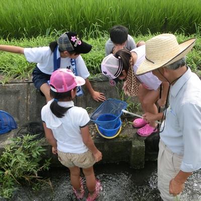 ふるさと納税 池田町 【令和7年産】特別栽培米 20kg【7分ツキ