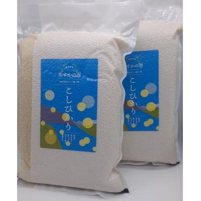 ふるさと納税 揖斐川町 あすかの恵 こしひかり 精米(真空パック)4.5kg×2袋 (岐阜県揖斐川町)