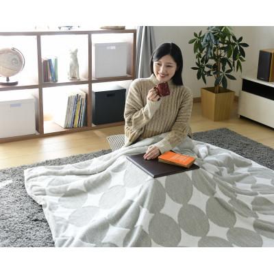 ふるさと納税 安城市 愛知県安城市　天板付き一人用こたつ　MPQ-102B(B) |  | 02