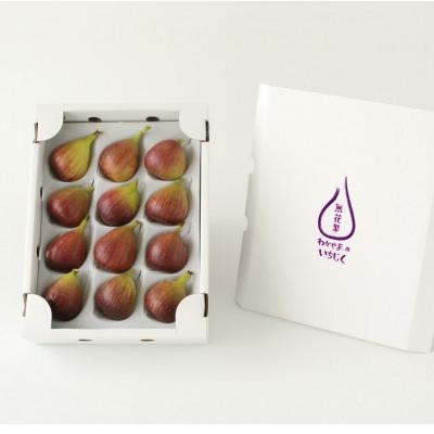 ふるさと納税 紀の川市 [産直]いちじく 和歌山県紀の川市産 約1kg 12玉入